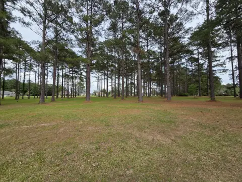 Wyboo Plantation Homesite on Golf Course