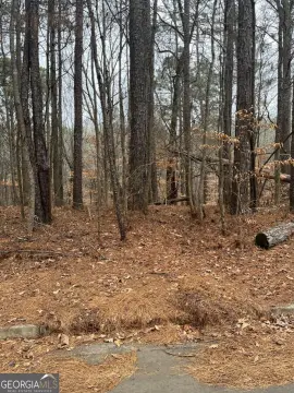 Residential Lot Near Atlanta Airport