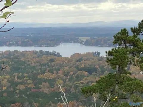 Waterfront Land in Leesburg, AL