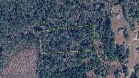 Vacant Land in Quincy, Florida