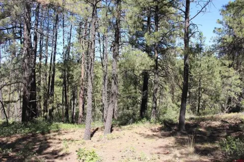 Pagosa Springs Residential Land