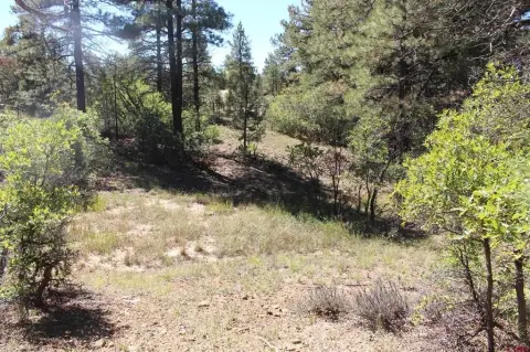 Pagosa Springs Residential Land