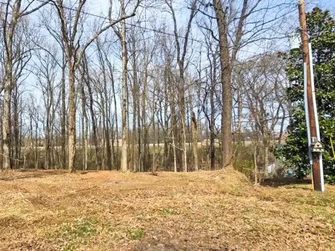 Brighton, TN Acre Homesite