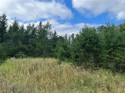 Pine River Land For Sale