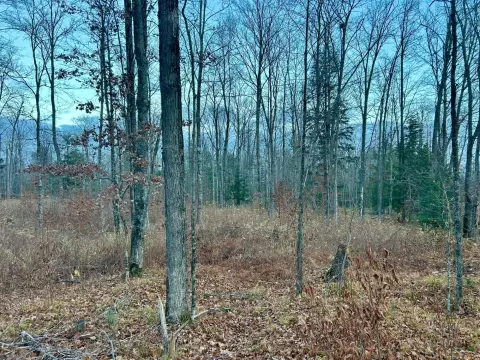 5+ Acre Parcel in Wisconsin
