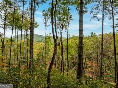Ellijay Mountain View Homesite