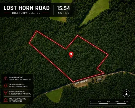 Branchville, SC 15.54-Acre Tract