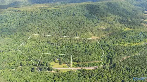 Recreational Hunting and Homesite Land