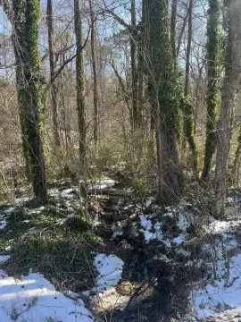 South Boston Wooded Residential Lot