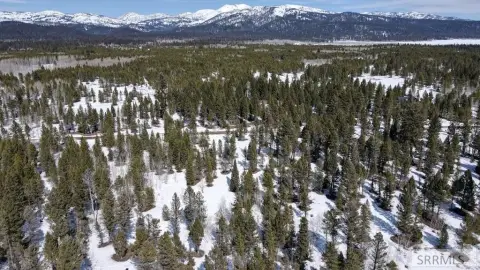 Island Park Treed Acreage