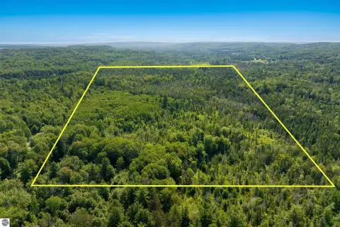 Wooded Recreational Land Parcel