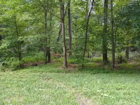 Recreation Land with Road Frontage
