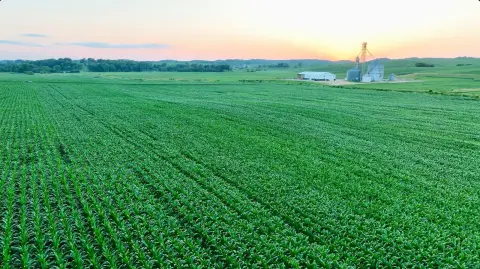 Highway-Accessible Farmland