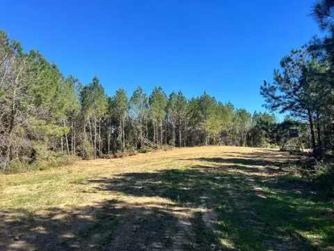 Recreational Hunting Land Tract