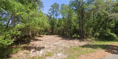 Cleared Lot Near Ocklawaha Reservoir