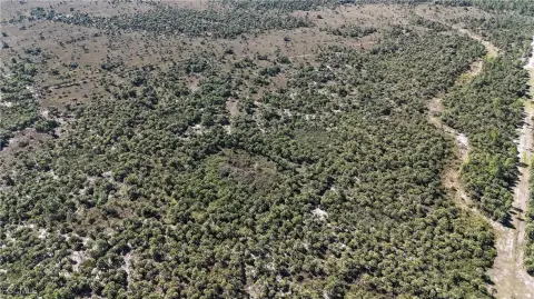 40 Acres Recreational Land Naples