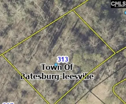 Residential Lot in Leesville, SC