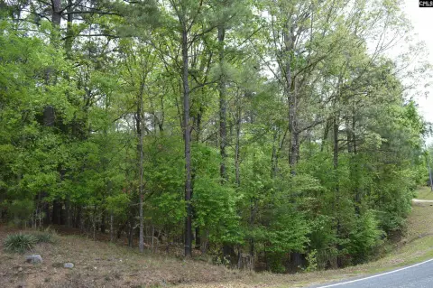 Lake Wateree Wooded Lot