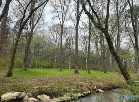 Recreational Land with Stream