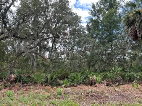 A-1 Agricultural Land Parcel