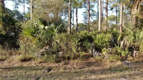 Residential Land in North Port