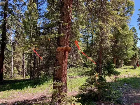 Arrowhead Mountain Retreat Land