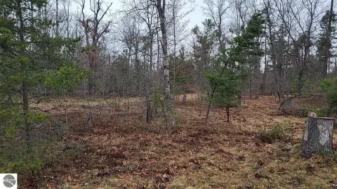 Wooded Land Parcel in Grayling