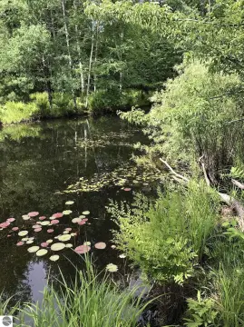 Vacant Farmland with Water Features