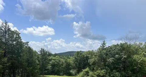 Acreage Near Yellville, Arkansas