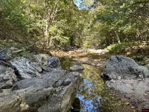 Land with Creek Frontage
