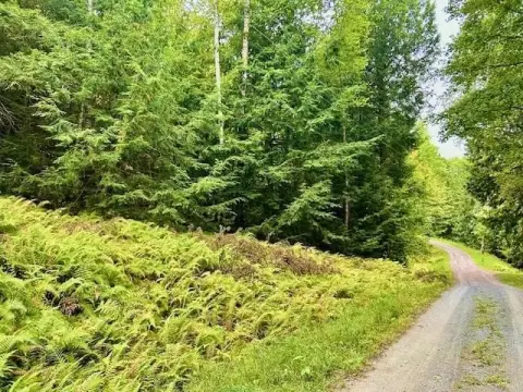 Haverhill Land with Mountain Views