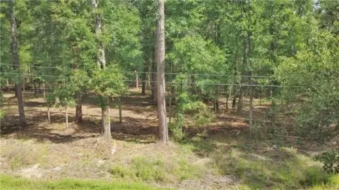 Residential Lot Near I-12