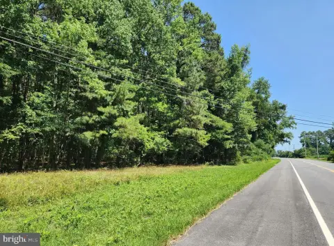Hunting and Recreation Land Parcel