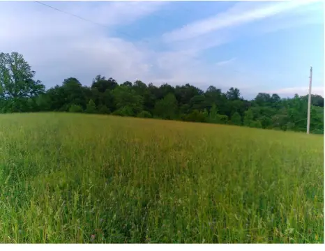 Auction Subdividable Farm Tracts
