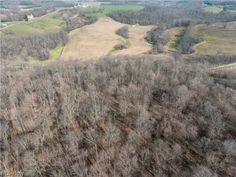 Secluded Wooded Land in Fresno