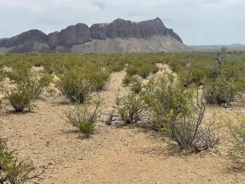 Terlingua Land with Scenic Views