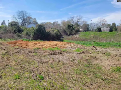 Residential Lot in Columbia, SC