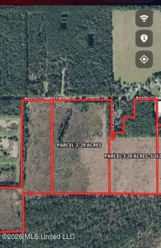 Timber Hunting Land with Road Access