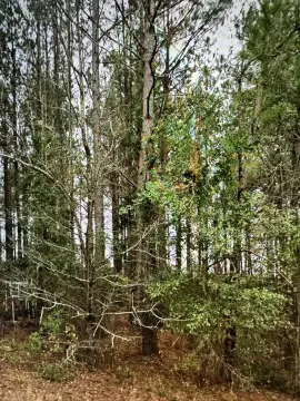 Residential Land in Sumter, SC