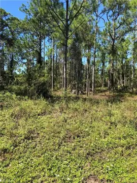 Vacant Land in Lehigh Acres