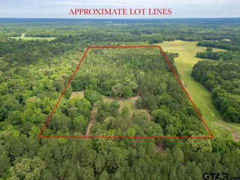 32 Acres in East Texas