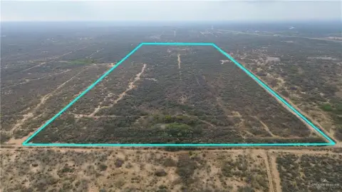 100 Acres in San Ygnacio