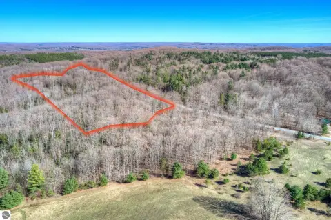 Wooded Parcel Near Downtown Bellaire