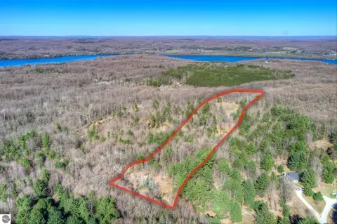 Wooded Parcel Near Downtown Bellaire