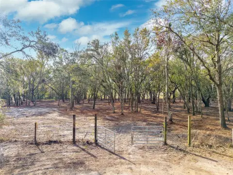 Plant City Land For Sale