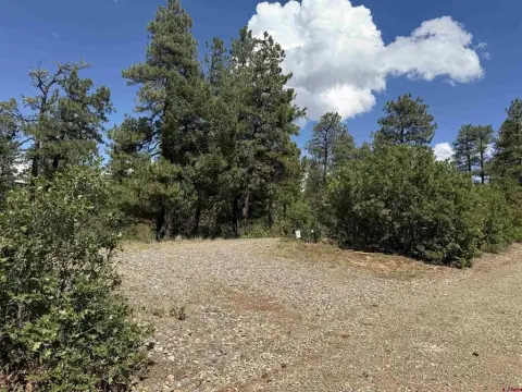 Land with Cabin in Pagosa