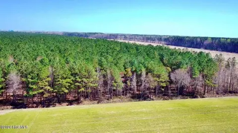 Expansive Land in Eastern North Carolina