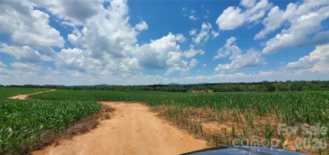 Open Agricultural Land