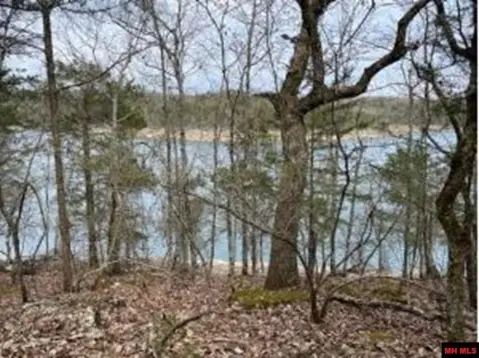 9.5 Acres Near Bull Shoals