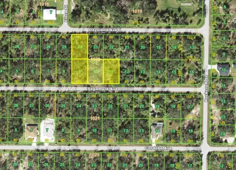 Port Charlotte Land: Four Lots